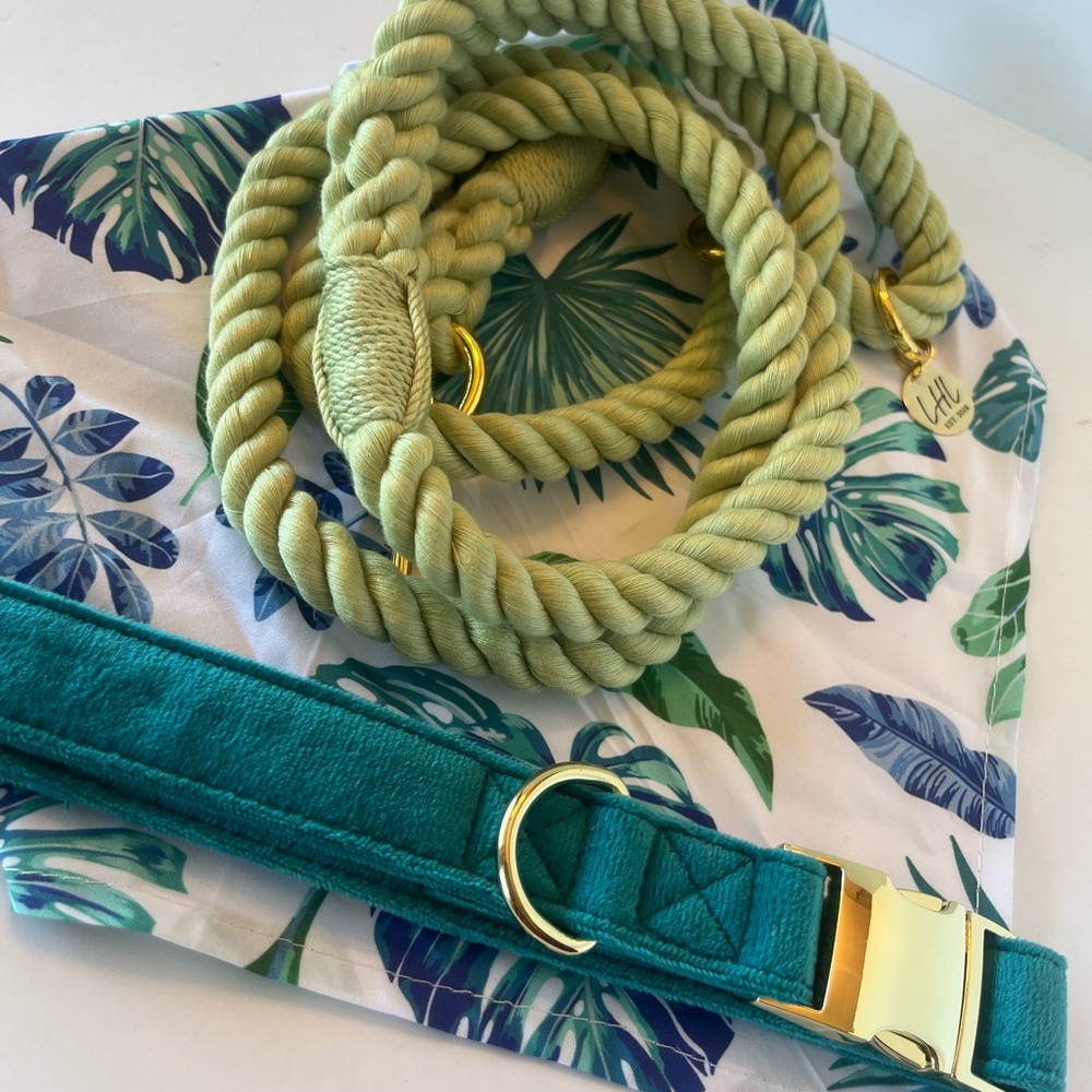 Collar, Bandana, and leash combo